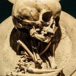 Finding Human Ancestors and Changing Perspectives