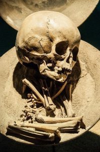 Finding Human Ancestors and Shifting Perspectives
