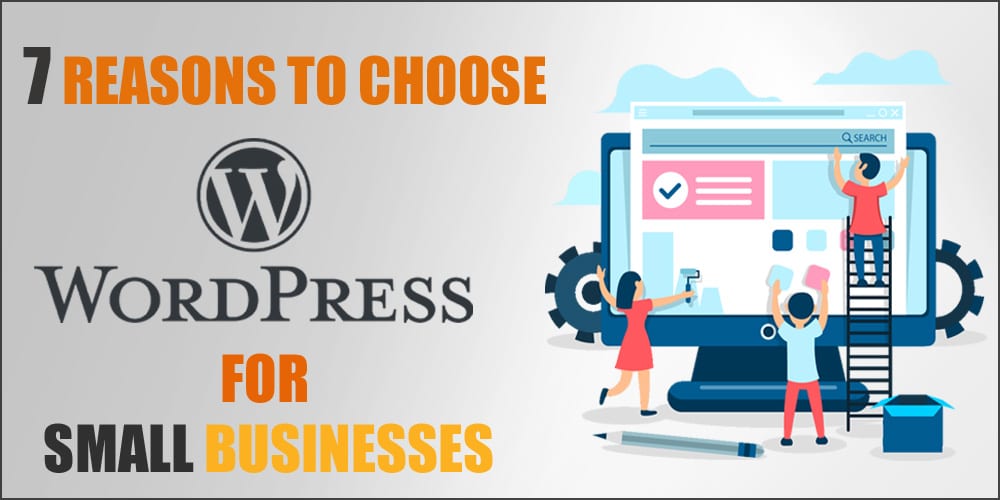 best wordpress plan for small business