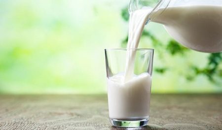 8 Reasons Why Pasteurized Camel Milk Is Healthy