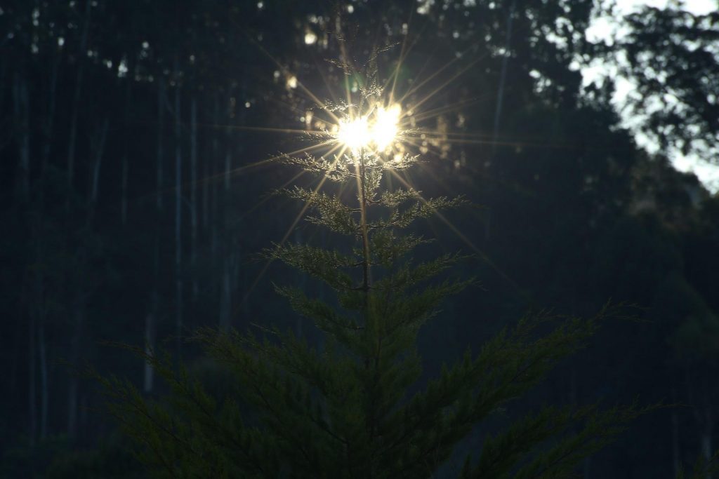 blue light blocking glasses