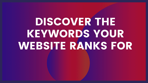 How to identify all keywords your website ranks for?