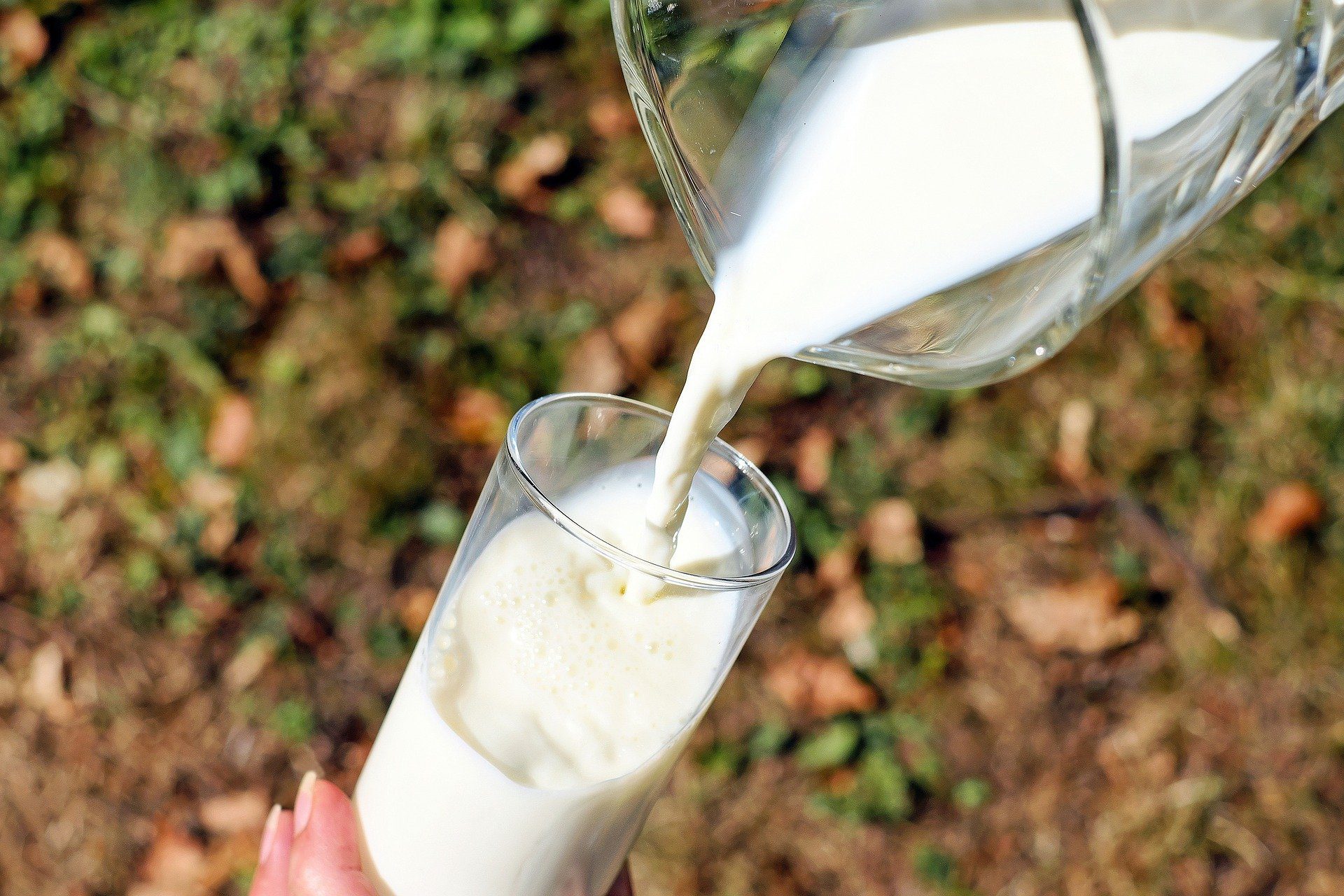 National Milk Day A day that is celebrated globally