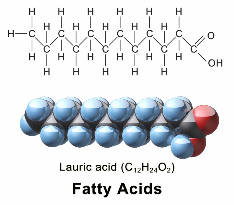 The Best Fatty Acid Supplements for Your Body