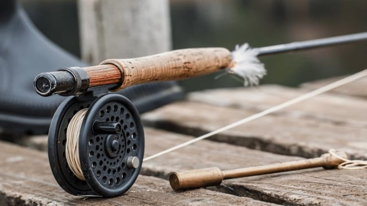 Tips for Choosing the Fishing Rod that is Right for You