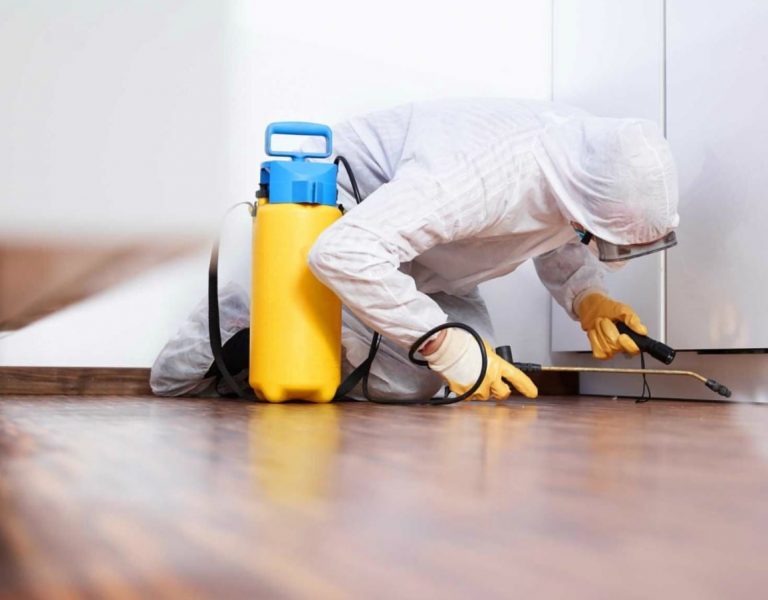 What are the qualities of a good pest control service provider?