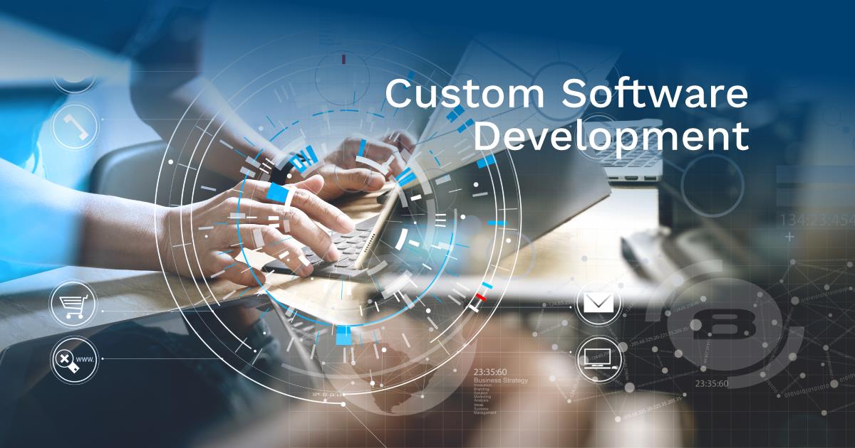 Software development customized to a customer's needs