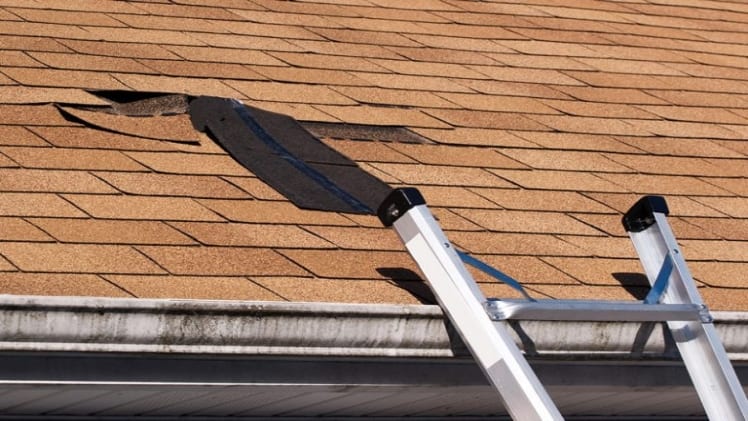 Pro tricks to Prevent Roof Damage by different methods
