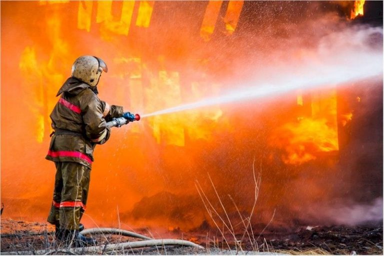 What are the Services Provided by Fire Watch Guards?