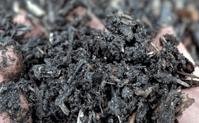 Mulching In Baltimore And Harford Counties – Best Mulch You Can Have