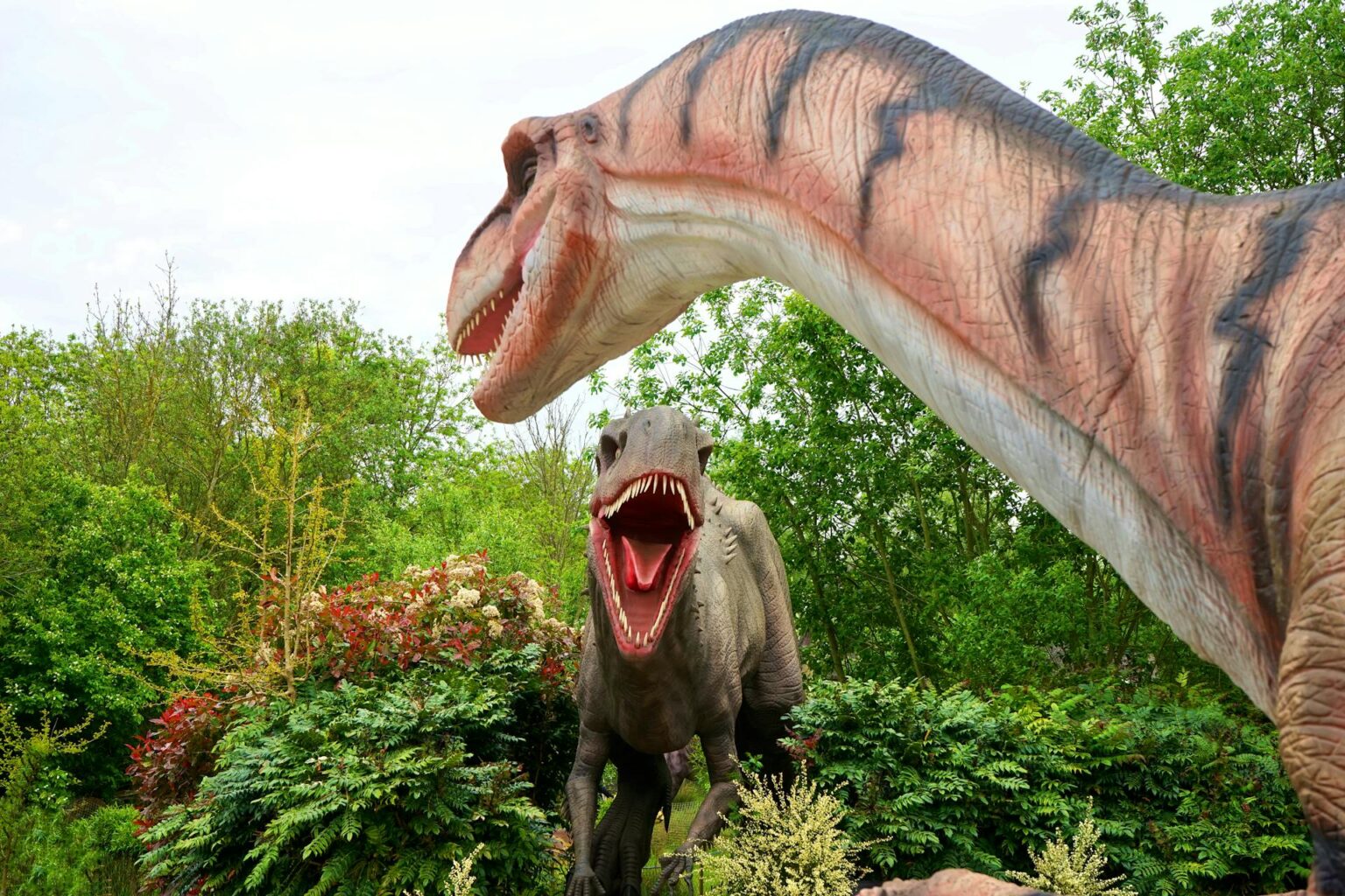 What Makes Nigersaurus(dinosaurs with 500 Teeth) Different from Other Dinosaurs?