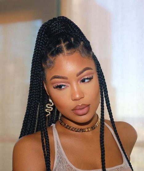 33 Different Types of Braids for Black Women: Popular Braiding Hairstyles Ombre box braids