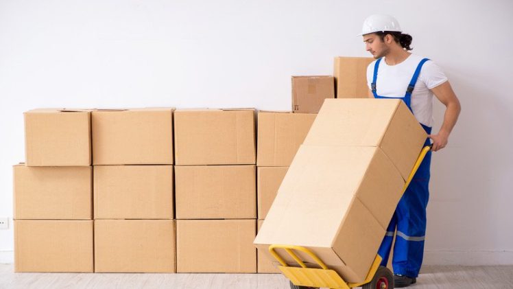 Top Packing Supplies to Pack for Relocation
