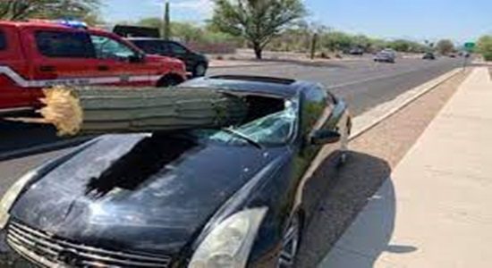 What are Common Catastrophic Injuries Caused by Car Accidents in Tucson?