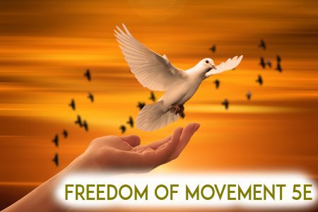 Freedom of movement 5e