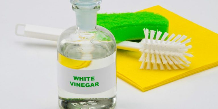 What Are The 10 Ways To Use Vinegar To Change Your House?