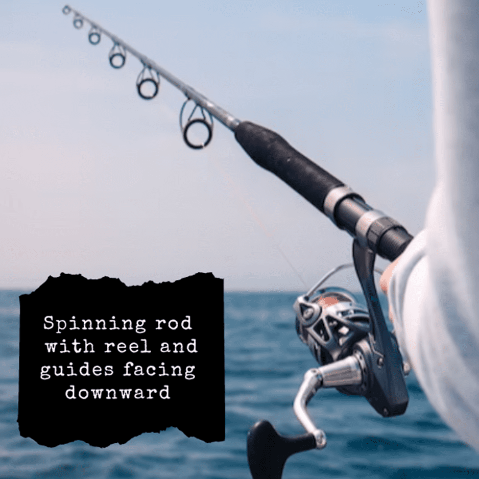 Spinning Vs Casting Rods- When to choose which rod