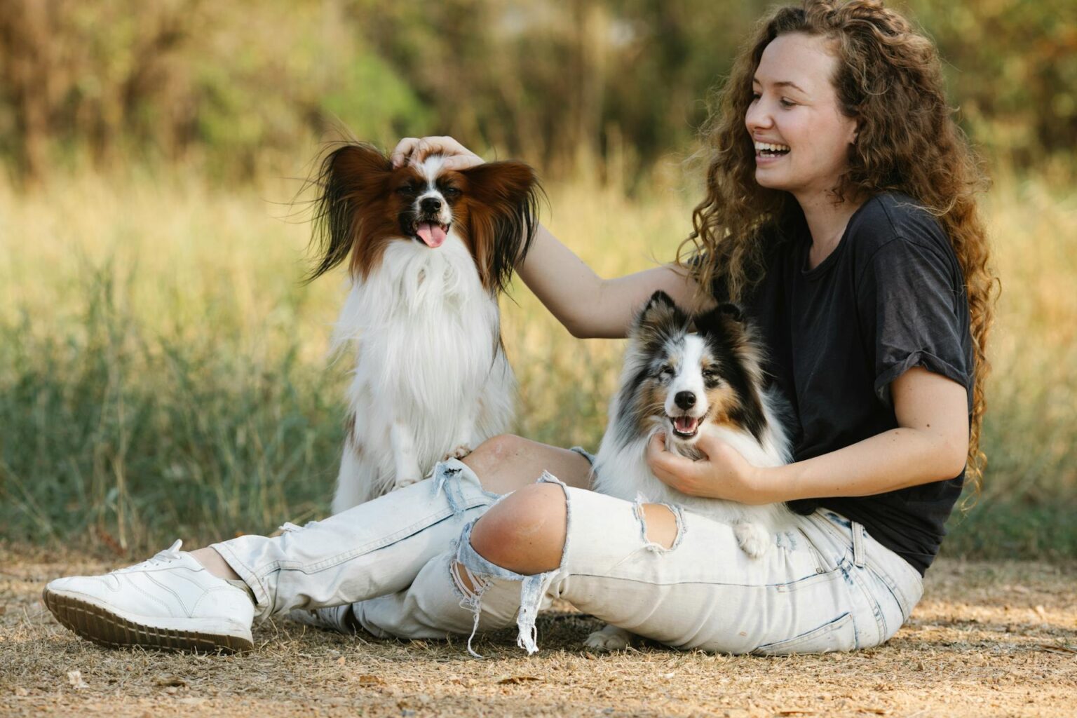 Useful Clean House Tips for Pet Owners