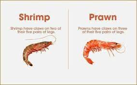 Shrimp and Prawns