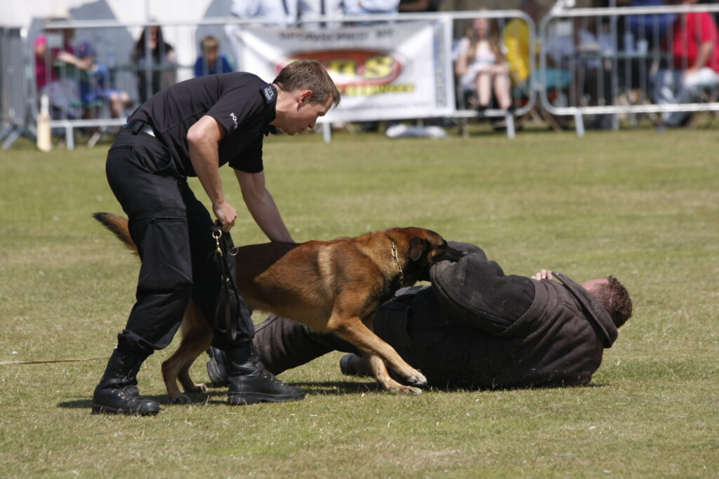 K-9 Dogs Trained