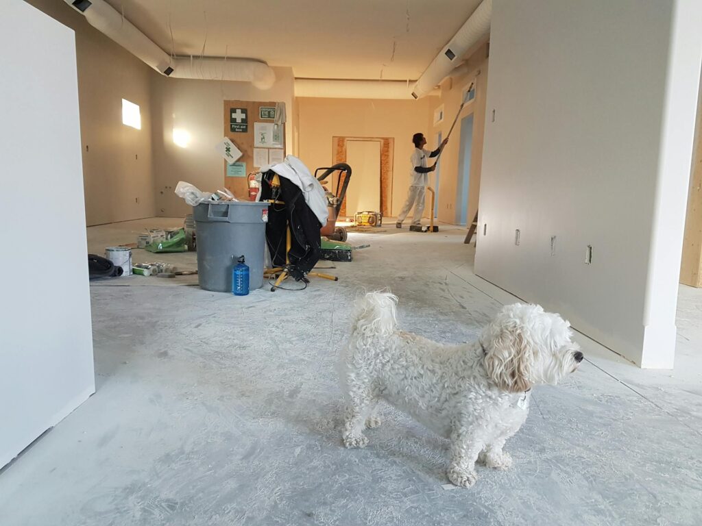 Home Renovation: How to Get the Most Elegant and Pristine Finish